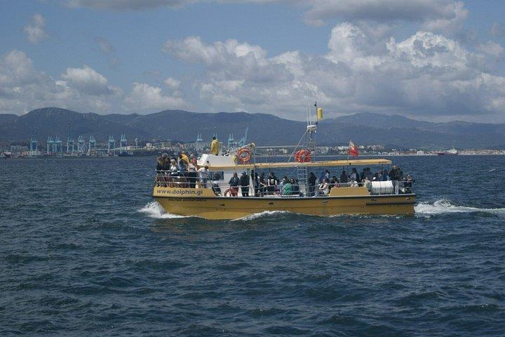 Excursion à Gibraltar et observation des dauphins au départ de Malaga