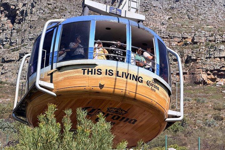 Private Table Mountain with Cape Point and Penguins Tour