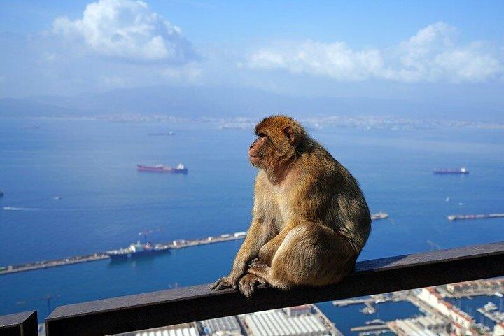 Fra Costa del Sol: Gibraltar Classic Rock Tour