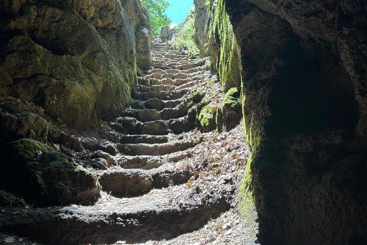 Etna e Vinho: uma experiência de natureza e aromas com sabor.