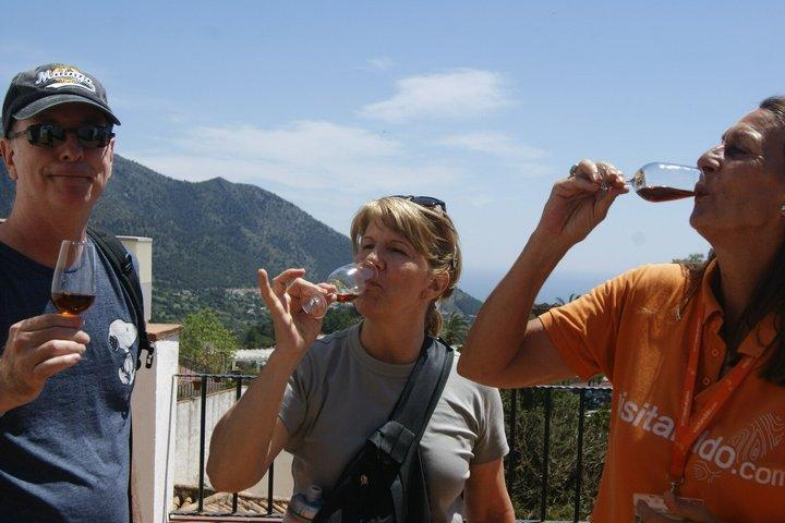Explore Mijas and Marbella on a Day Trip from Málaga