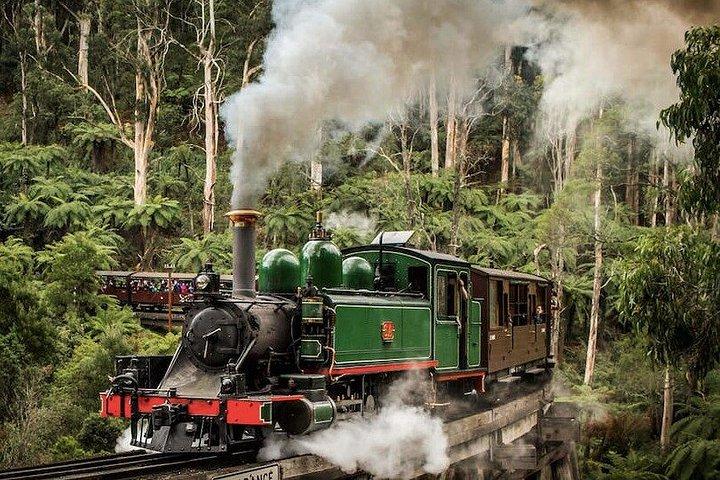 Puffing BillySteam Train & Phillip Island Penguin Parade Day Tour
