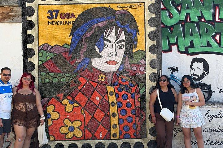 Guided Tour to Favela Santa Marta