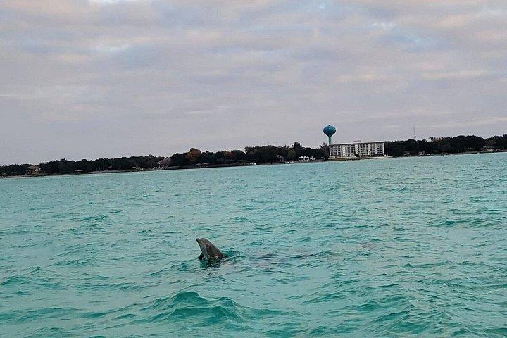 デスティンのカニ島でドルフィンクルーズアドベンチャー