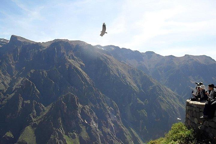 2D1N Colca Canyon Tour from Arequipa