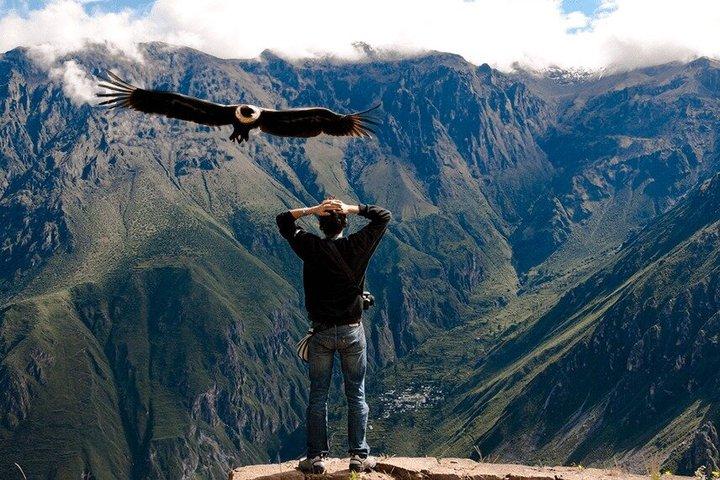 2D1N Colca Canyon Tour from Arequipa