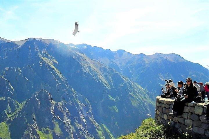 2D1N Colca Canyon Tour from Arequipa