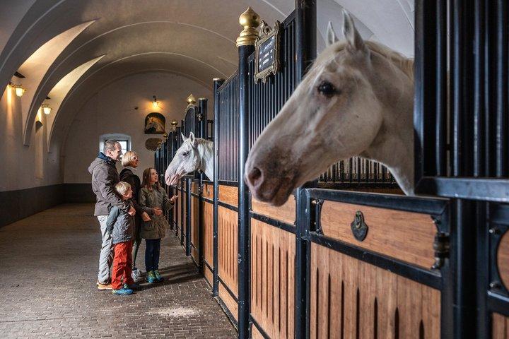 Lipica Stud Farm- コペルからのプライベート体験
