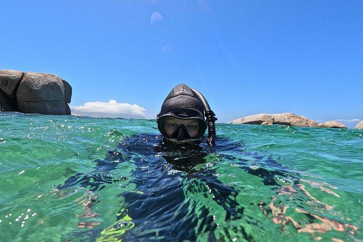 Esperienza di Kelp e Snorkeling con Blue Safari
