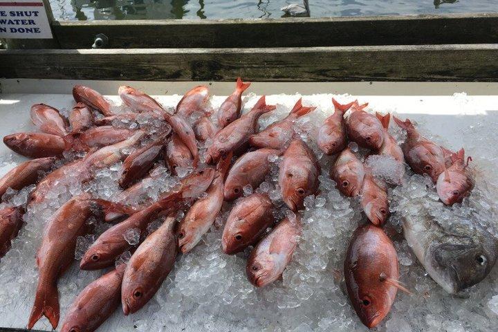 Pensacola Beach 4 - Hour Inshore Fishing Charter Avontuur