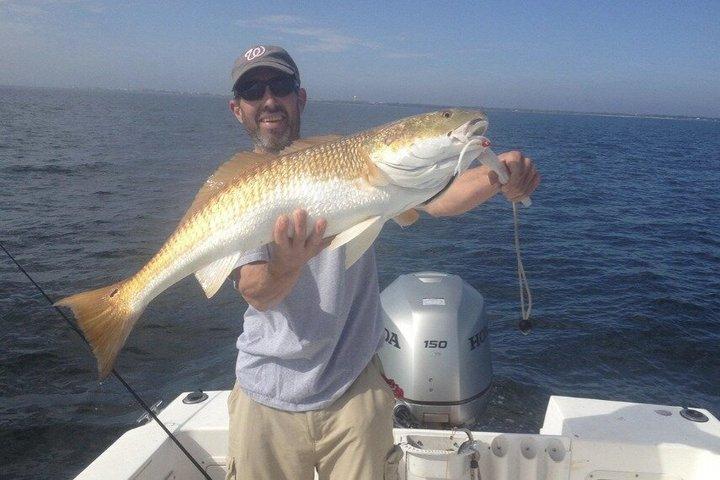 Pensacola Beach 4 - Hour Inshore Fishing Charter Avontuur
