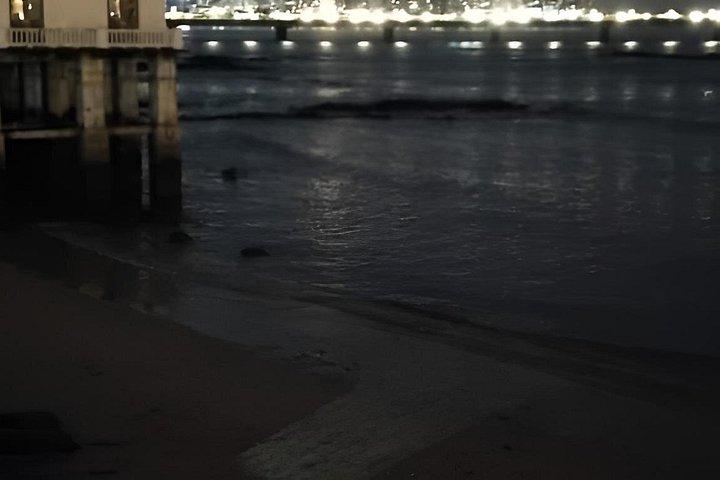 空港から運河と旧市街へのチケット込み