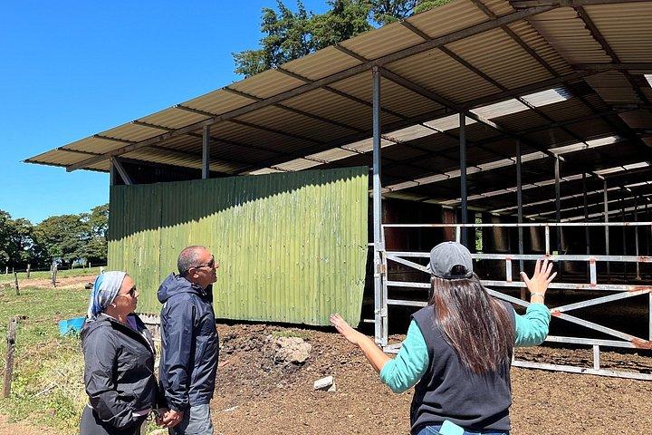 Shared ATV Adventure Poas Views + Dairy Farm Tour