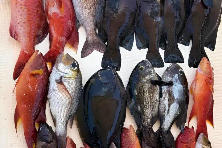 ジッダ：プライベート深海フィッシング＆バヤダ島リーフスイム