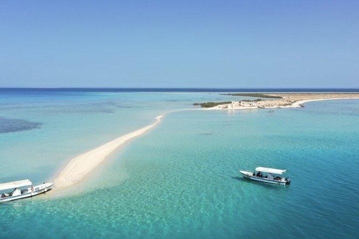 ジッダ：プライベート深海フィッシング＆バヤダ島リーフスイム