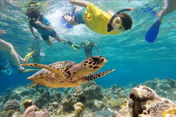 ジッダ：プライベート深海フィッシング＆バヤダ島リーフスイム
