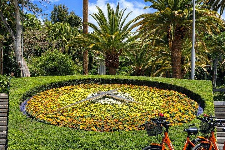サンタクルスデテネリフェハイライトE-バイクオプション付き自転車ツアー