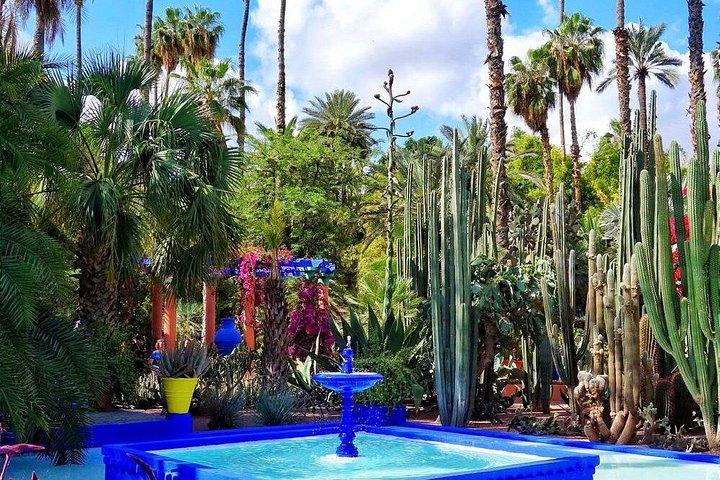 Majorelle Garden, YSL & Berber Museum – Tickets & Round Trip