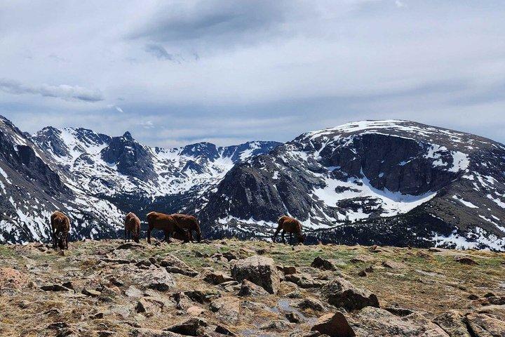 Parque Nacional de las Montañas Rocosas