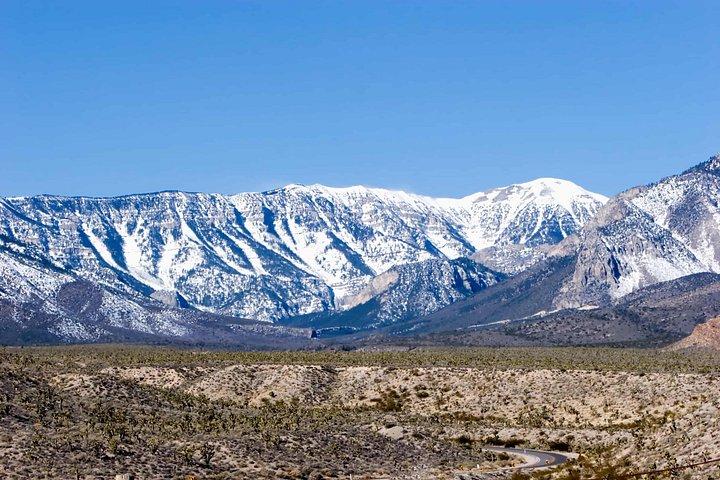 Mount Charleston Tour from Las Vegas