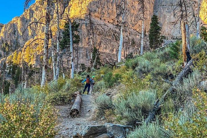 Mount Charleston Tour from Las Vegas