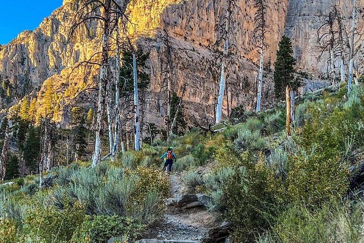 Mount Charleston Tour from Las Vegas