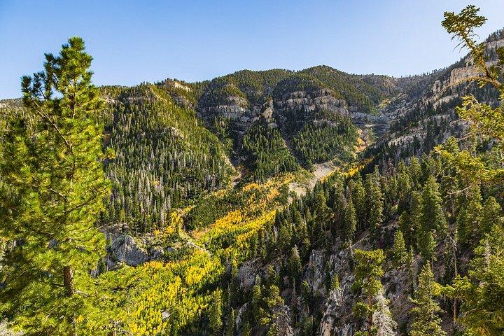 Mount Charleston Tour from Las Vegas