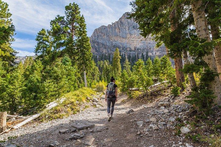 Mount Charleston Tour from Las Vegas