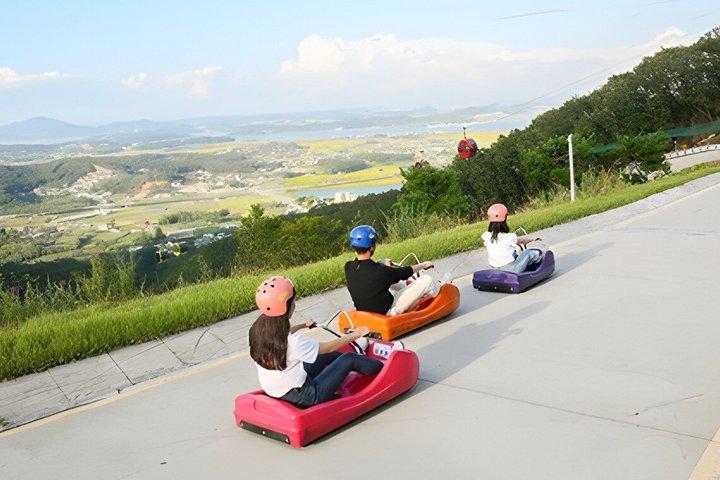 Seoul Day Trip med Seagull Feeding Railbike og Mega Luge