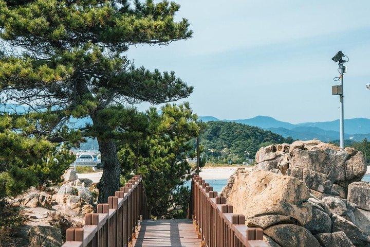BTS撮影地とソウル発江陵日帰りツアー