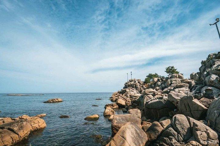 BTS撮影地とソウル発江陵日帰りツアー