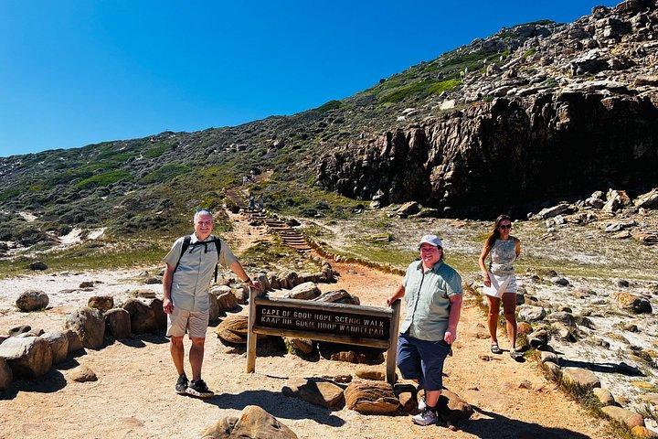 Table Mountain Cape Point Penguin Groot Constantia Private Tour