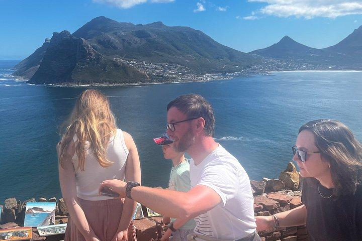 Table Mountain Cape Point Penguin Groot Constantia Private Tour