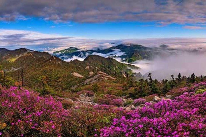 Ultimate Seoraksan & Nami Island privat tur från Seoul