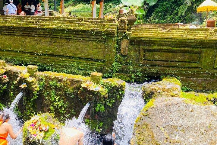 メンゲニン寺院でのウブド聖泉浄化体験