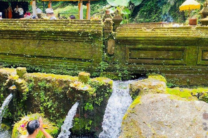メンゲニン寺院でのウブド聖泉浄化体験