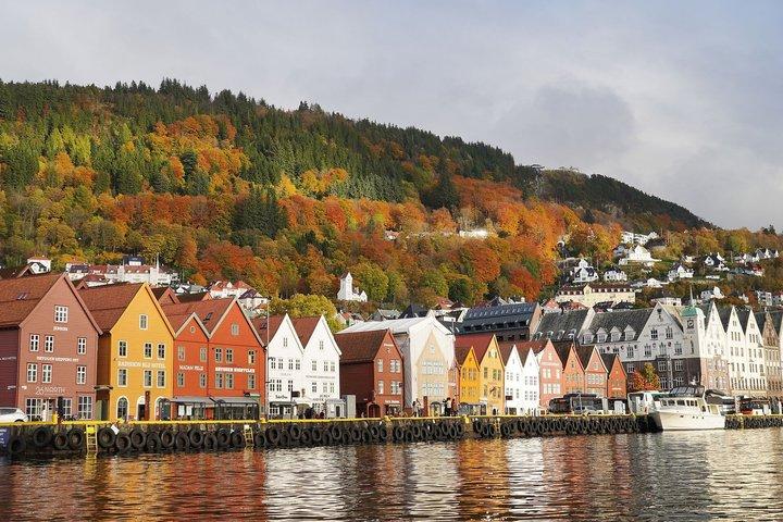 Private Bergen Walking tour with Funicular