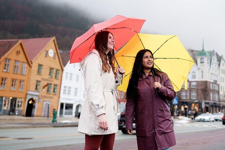 Private Bergen Walking tour with Funicular