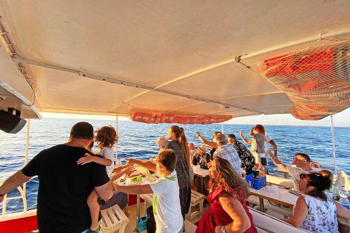 Delfin observation båd tur i Hvar