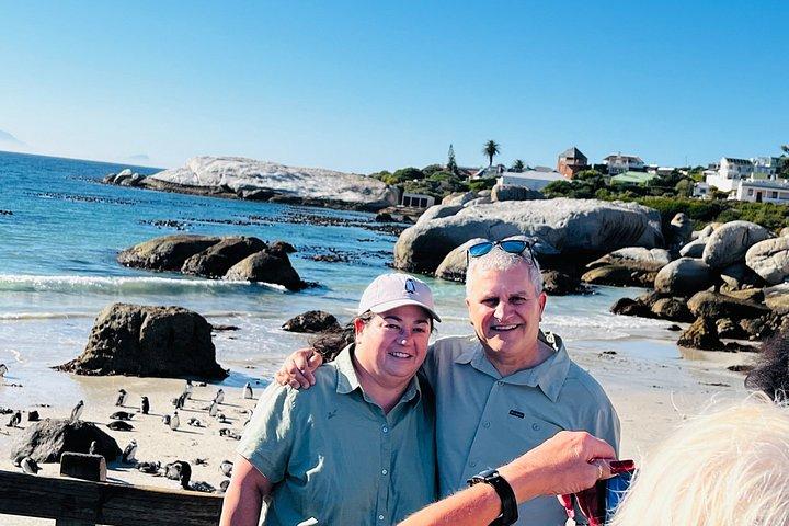 Table Mountain Cape Point Penguin Groot Constantia Private Tour