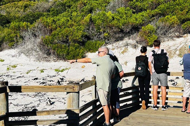 Table Mountain Cape Point Penguin Groot Constantia Private Tour