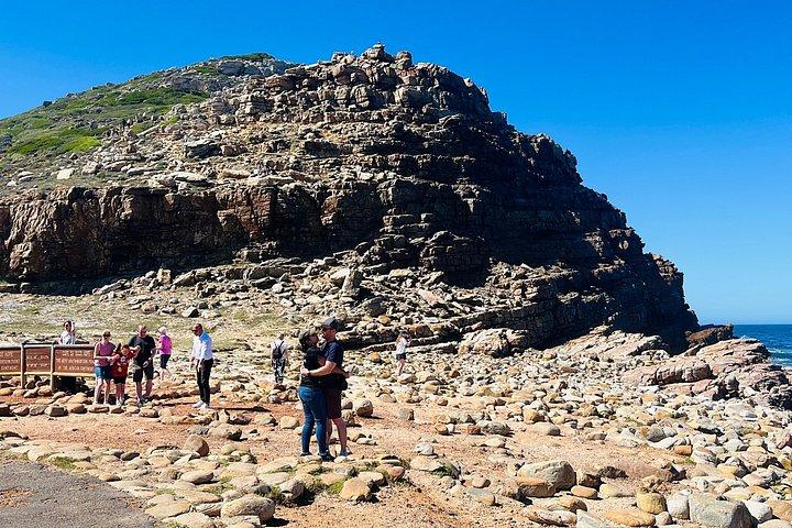 Table Mountain Cape Point Penguin Groot Constantia Private Tour
