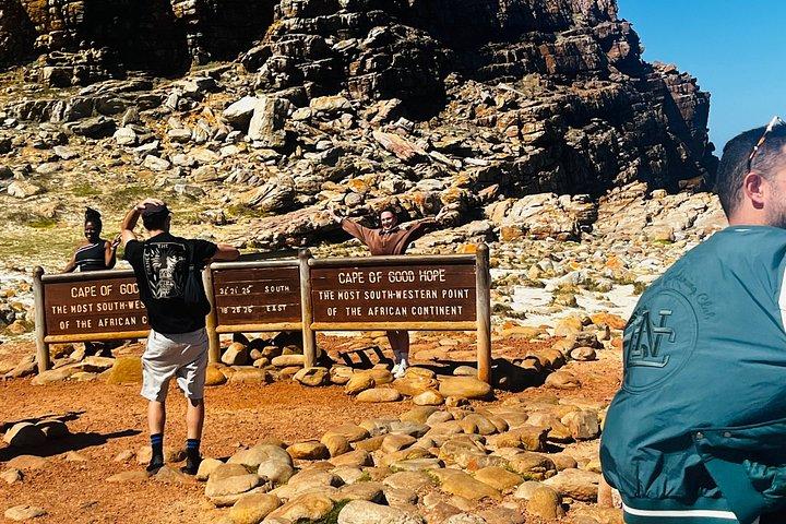 Table Mountain Cape Point Penguin Groot Constantia Private Tour