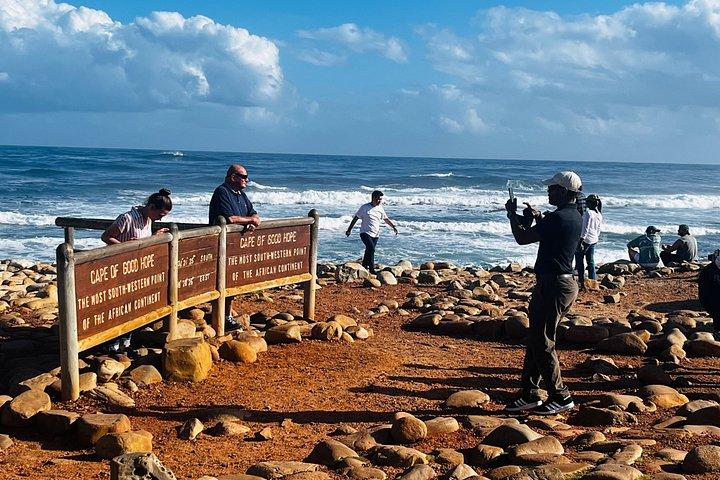 Table Mountain Cape Point Penguin Groot Constantia Private Tour