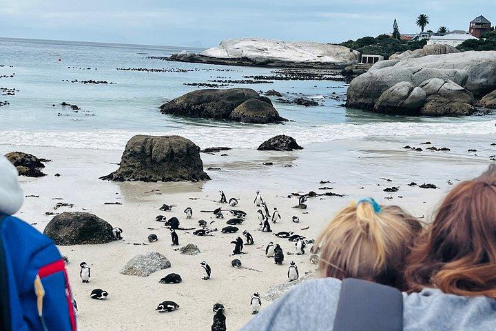 Table Mountain Cape Point Penguin Groot Constantia Private Tour
