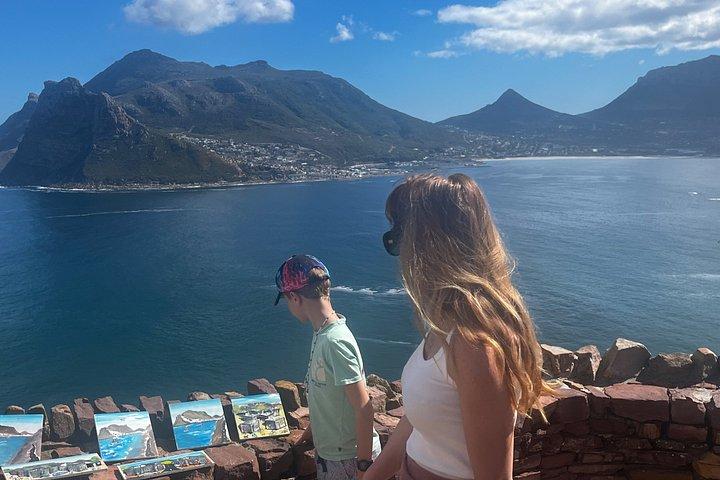 Table Mountain Cape Point Penguin Groot Constantia Private Tour