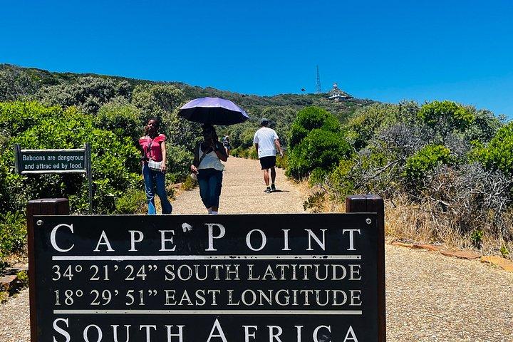 Table Mountain Cape Point Penguin Groot Constantia Private Tour