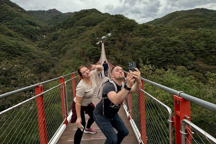 DMZ: Explore 3rd Tunnel & Nature Walk on Suspension Bridge