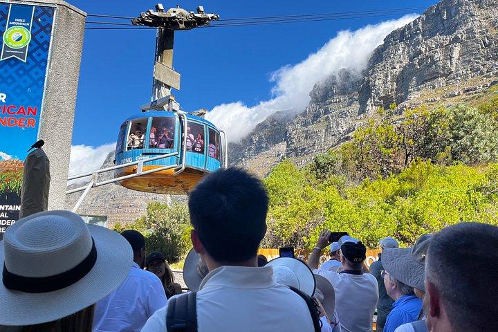 Table Mountain Cape Point Penguin Groot Constantia Private Tour