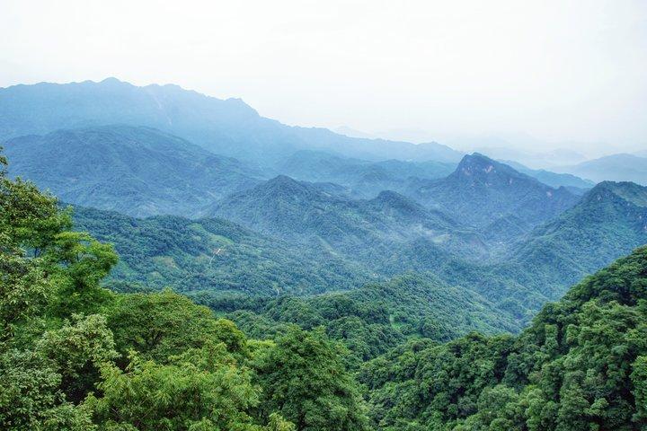 Private Mt Qingcheng and Dujiangyan Irrigation Tour from Chengdu